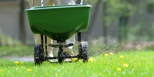 Lawn Maintenance, Lawn Fertilization, Grass, Lawn Service, Free Estimate